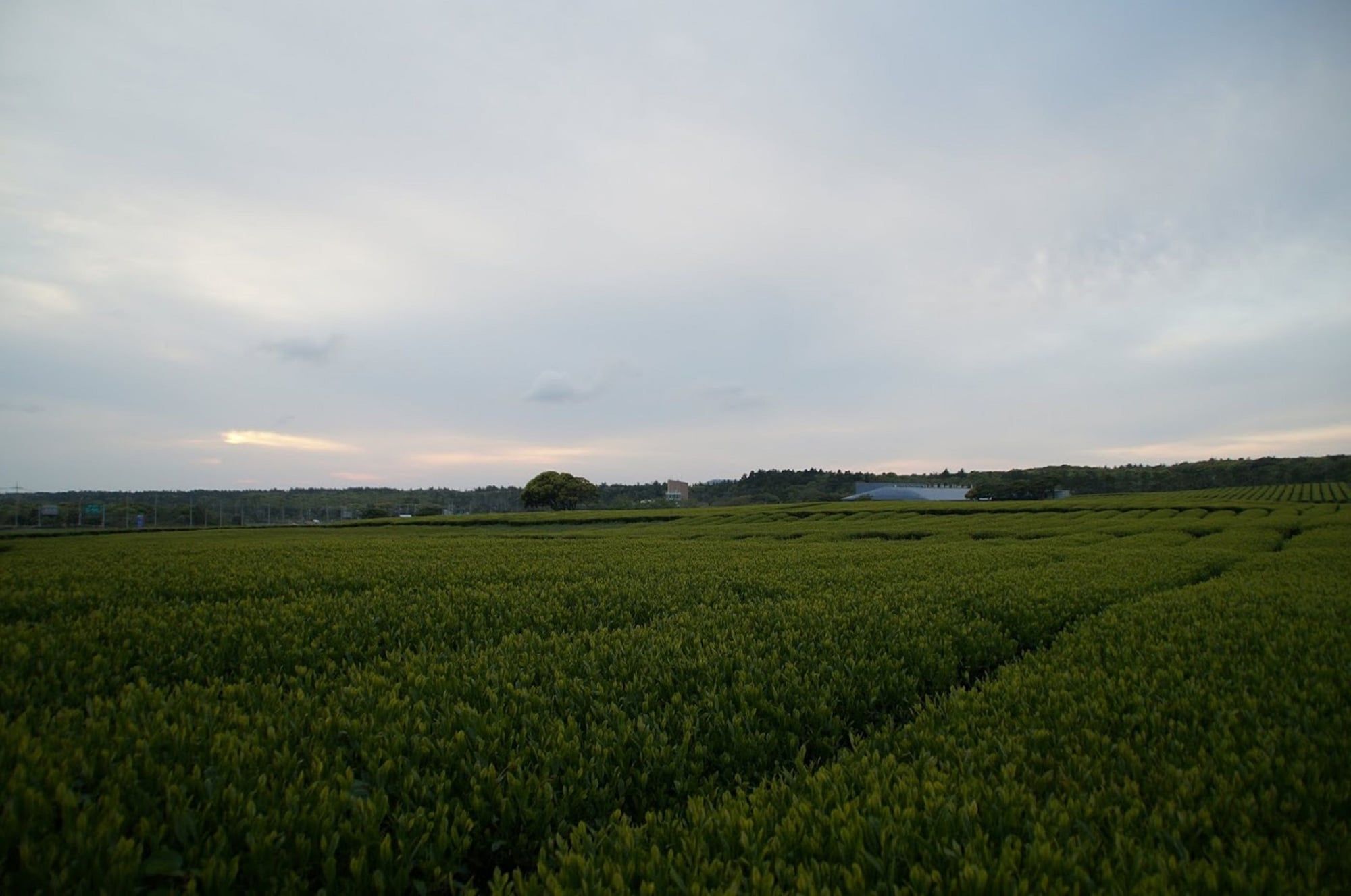 Outdoors view