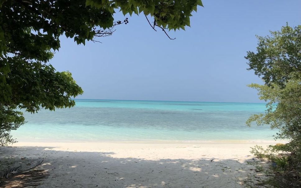 Beach Photo