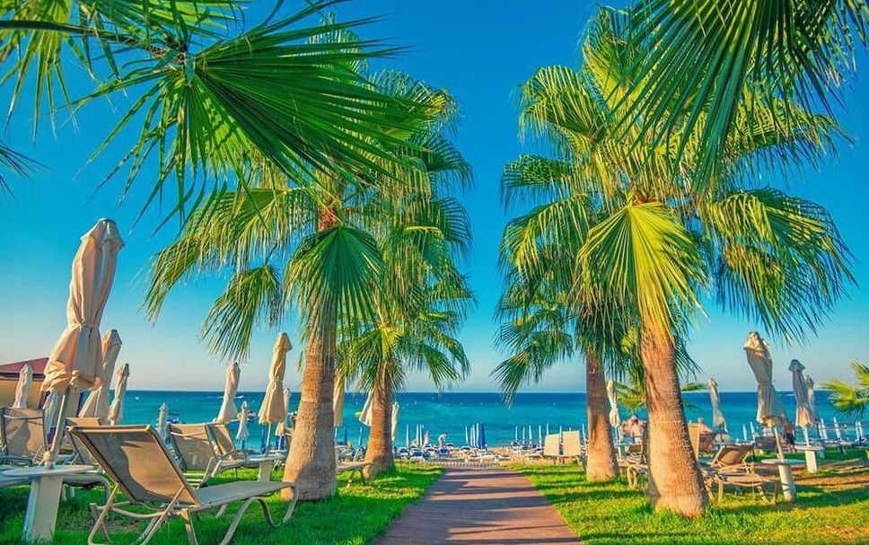 Beach Photo