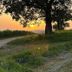 Outdoors view