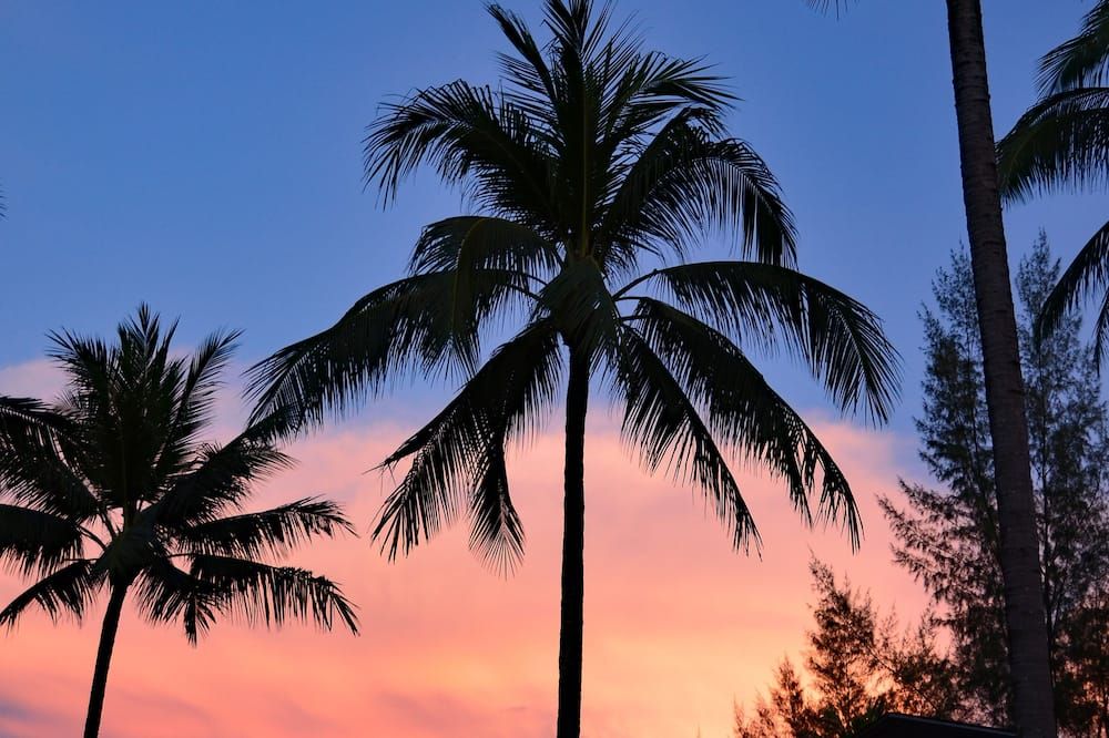 Outdoors view