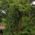 Outdoors view
