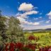 Outdoors view