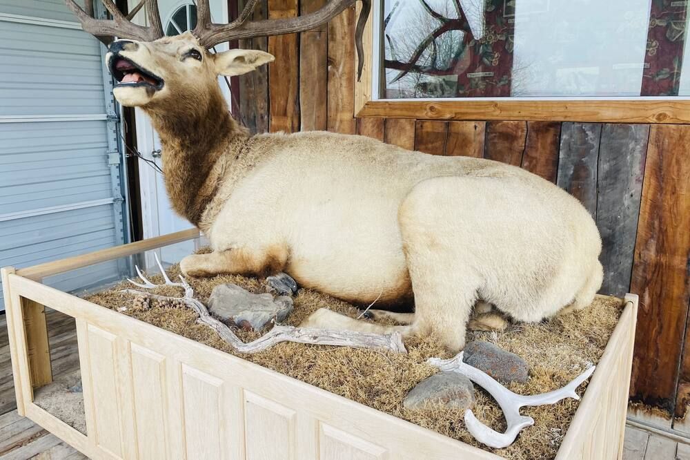 Other
