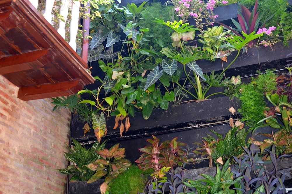 Outdoors view