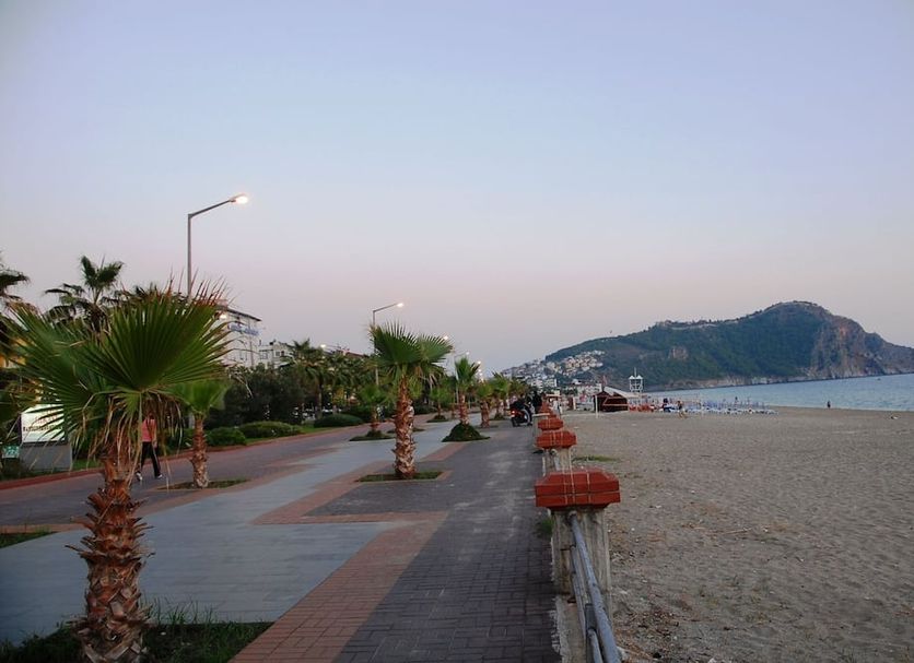 Other Photo