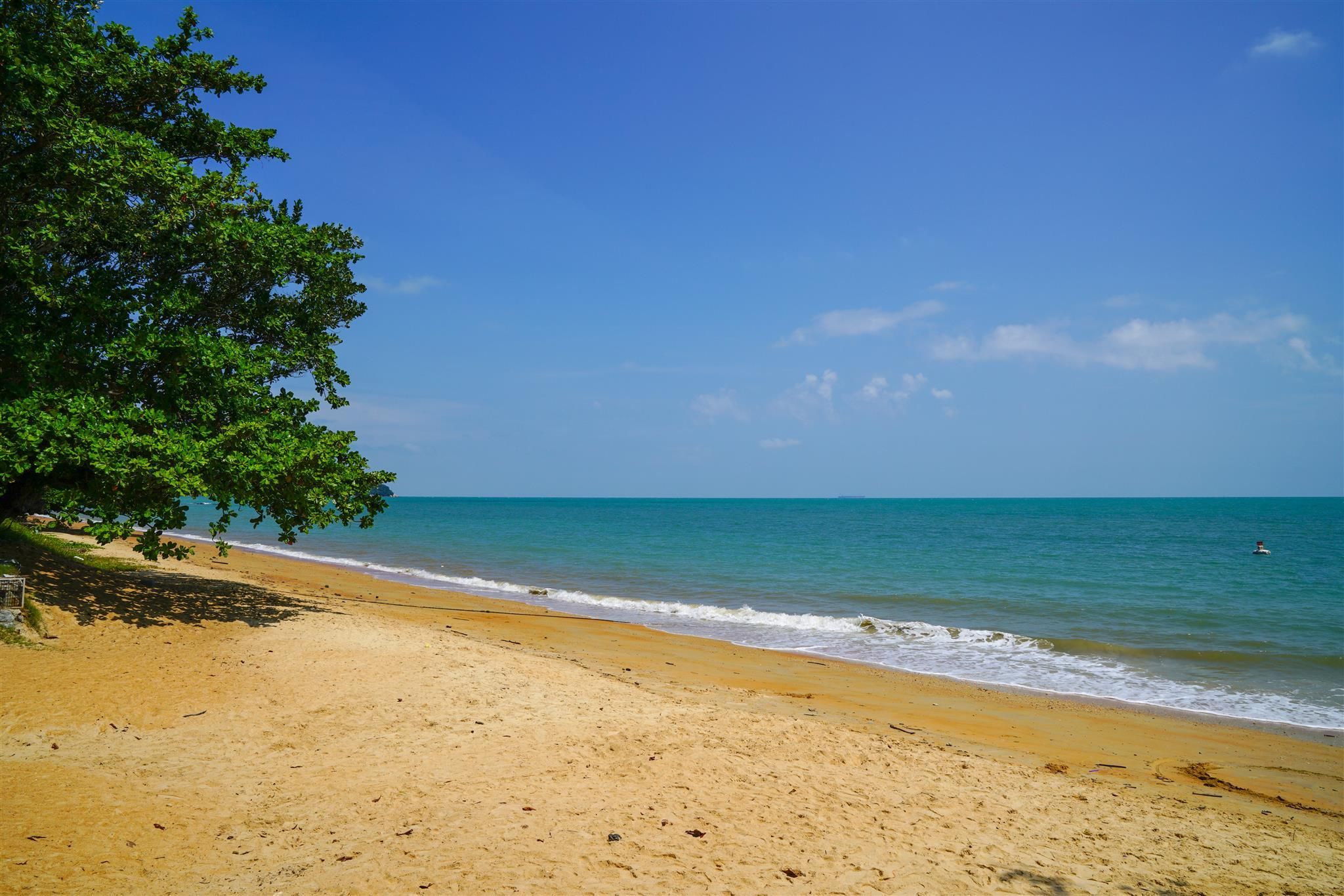 Beach Photo