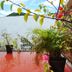Outdoors view