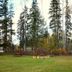 Outdoors view