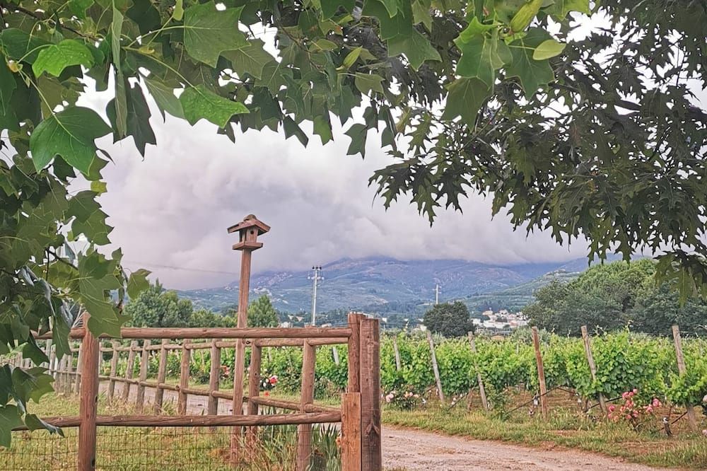 Outdoors view