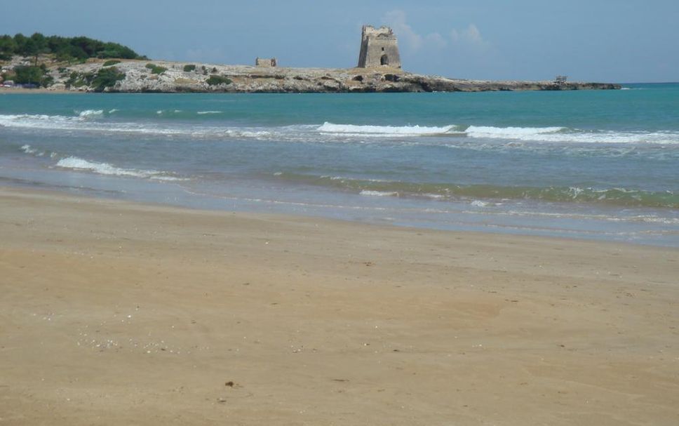 Beach Photo