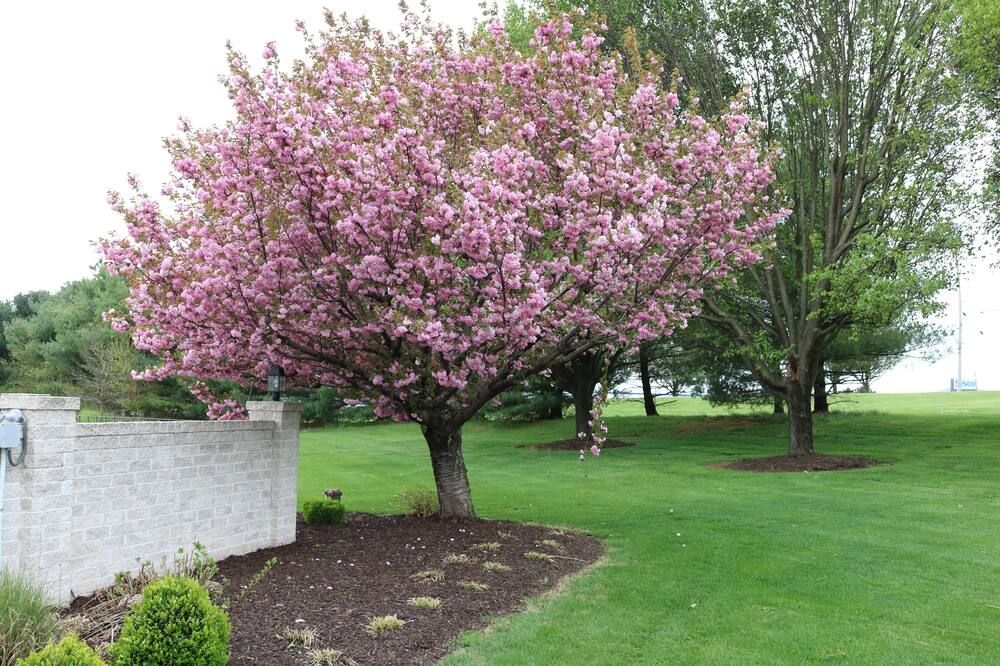 Outdoors view