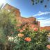 Outdoors view