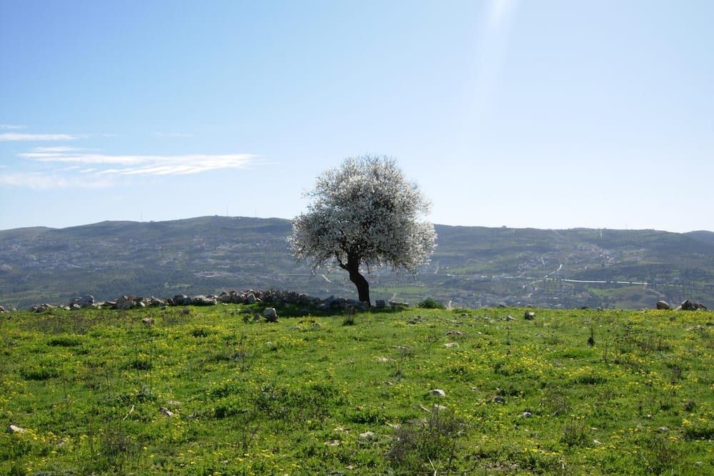 Outdoors view