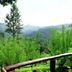 Outdoors view