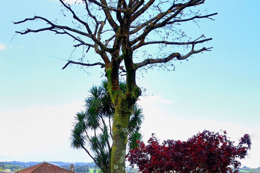 Outdoors view