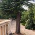 Outdoors view