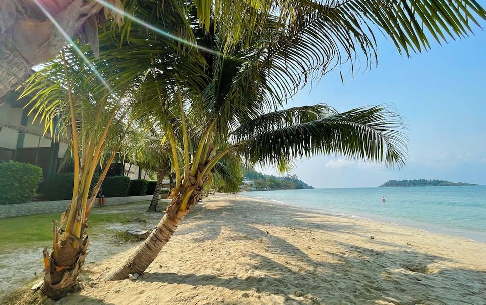 Beach Photo