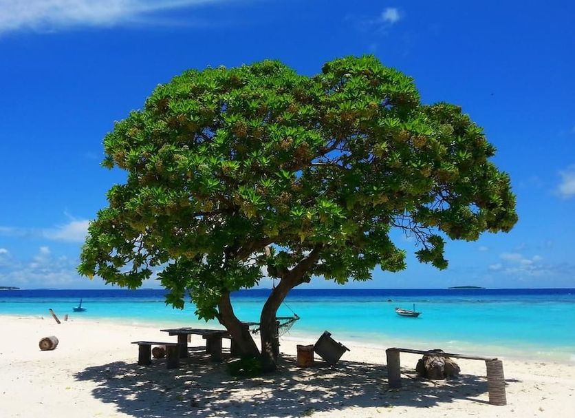 Beach Photo