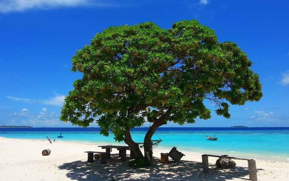 Beach Photo