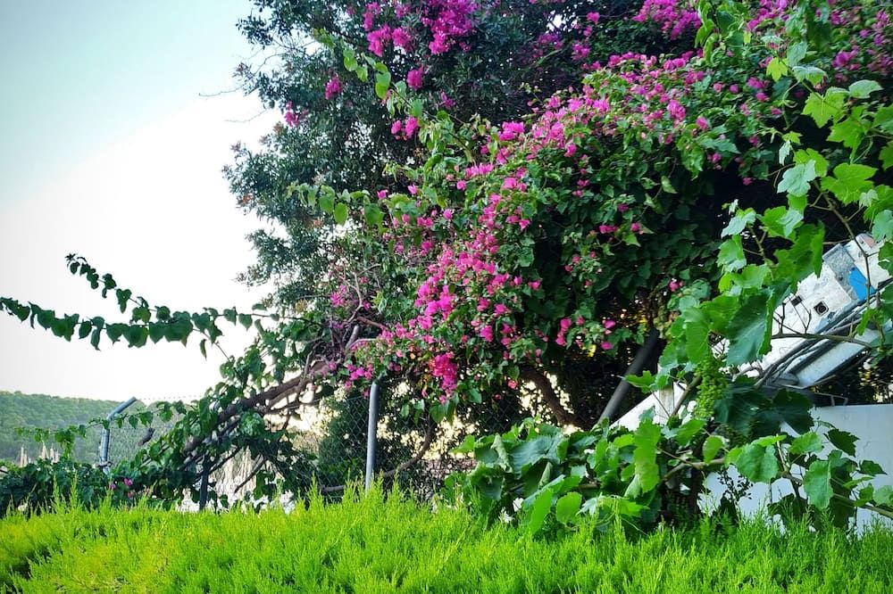 Outdoors view