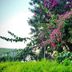 Outdoors view