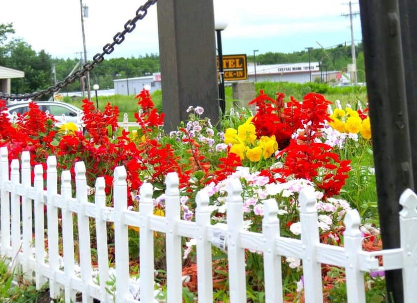 Outdoors view Photo