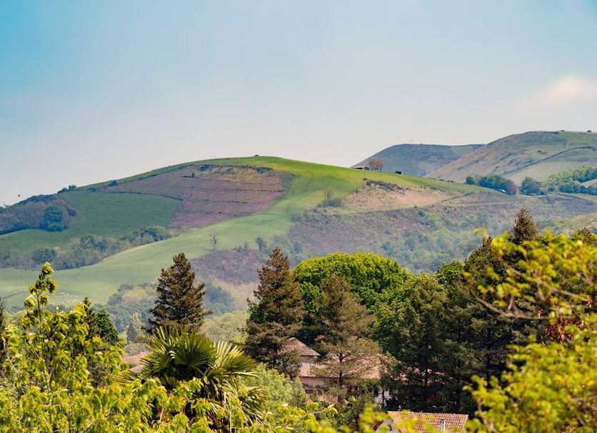 Outdoors view Photo