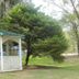 Outdoors view