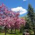Outdoors view
