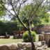 Outdoors view