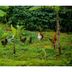 Outdoors view