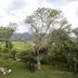 Outdoors view