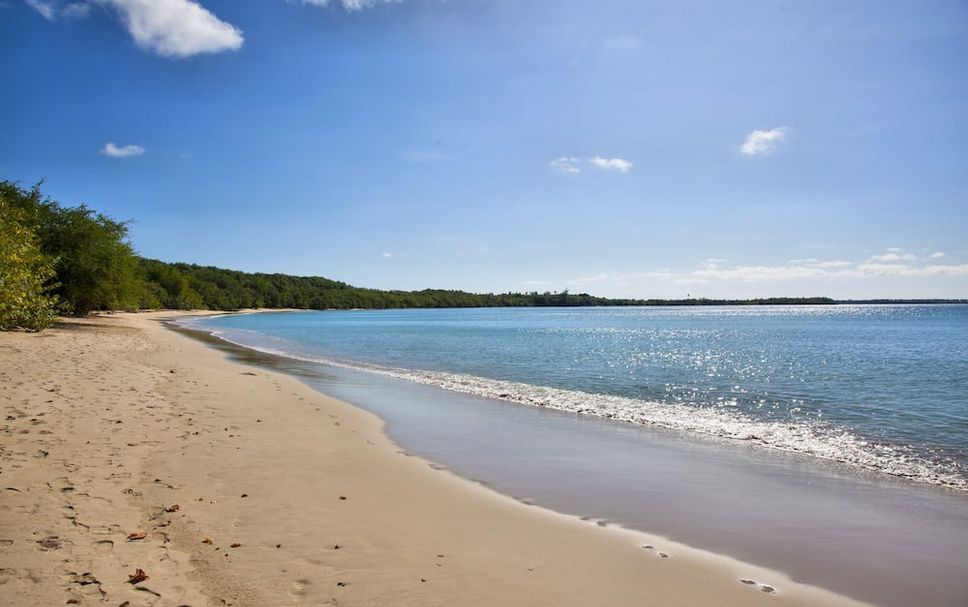 Beach Photo