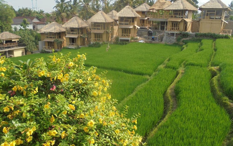 Outdoors view Photo
