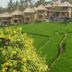 Outdoors view