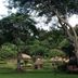 Outdoors view