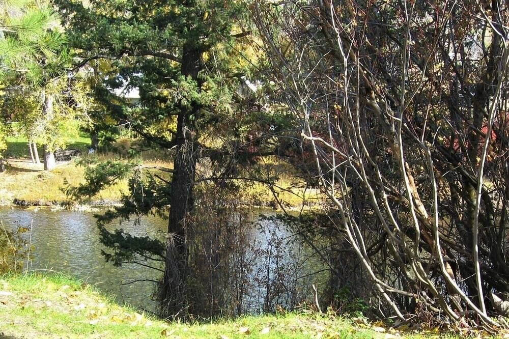 Outdoors view