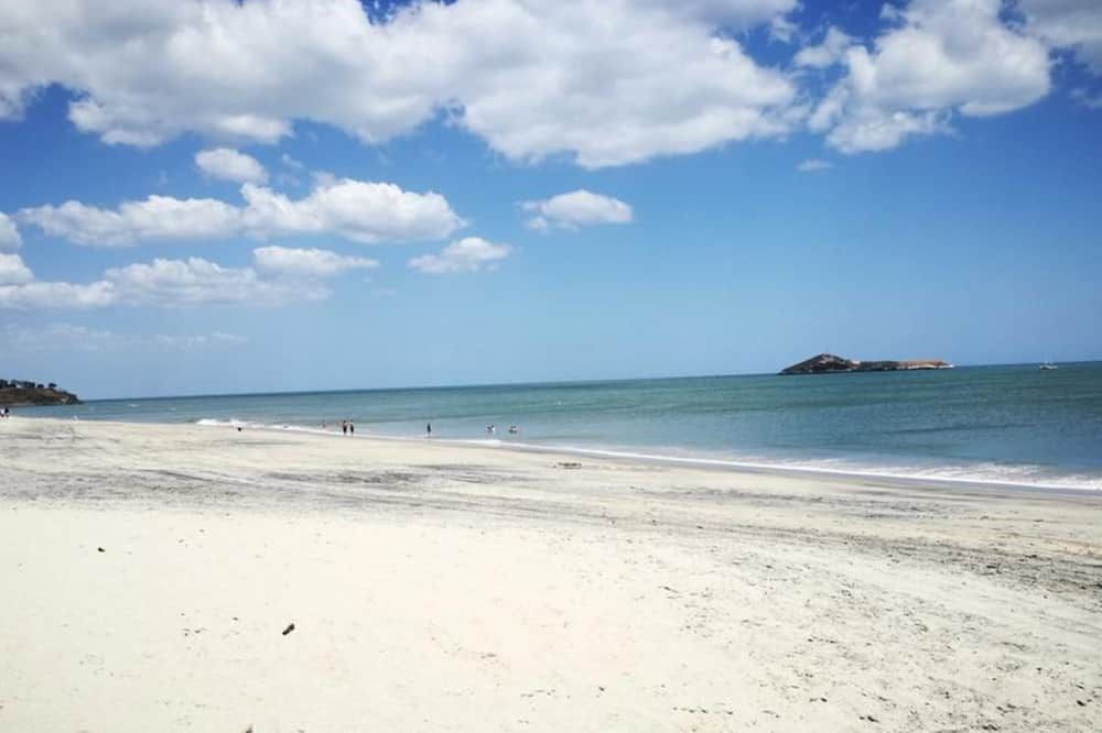 Beach Photo