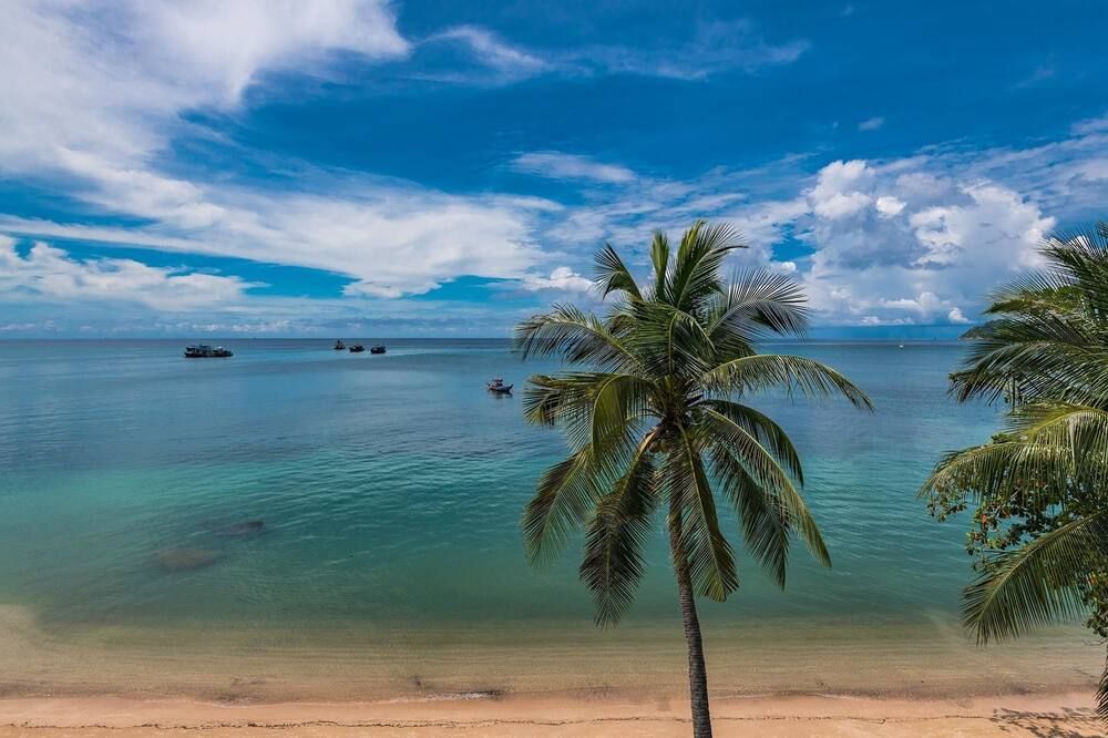Beach Photo