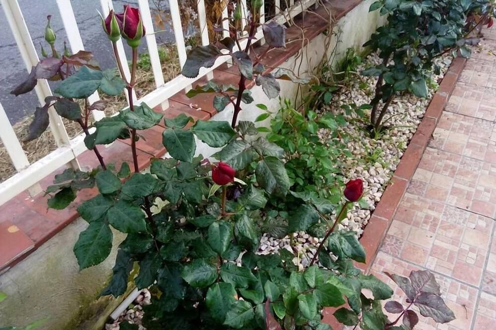 Outdoors view