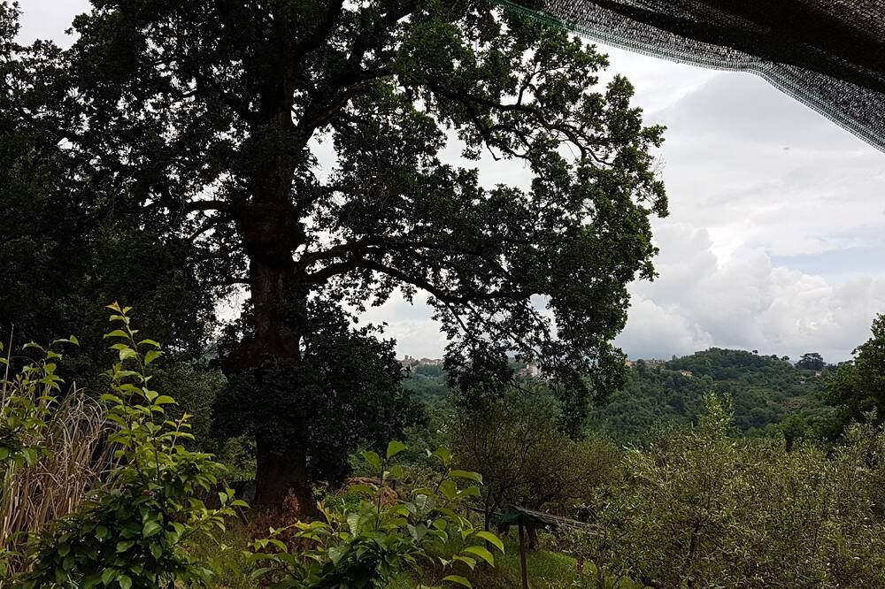 Outdoors view