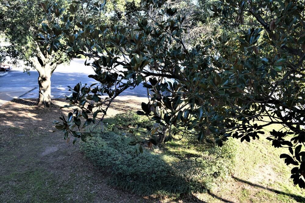 Outdoors view