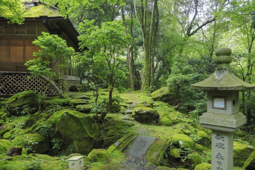 Outdoors view