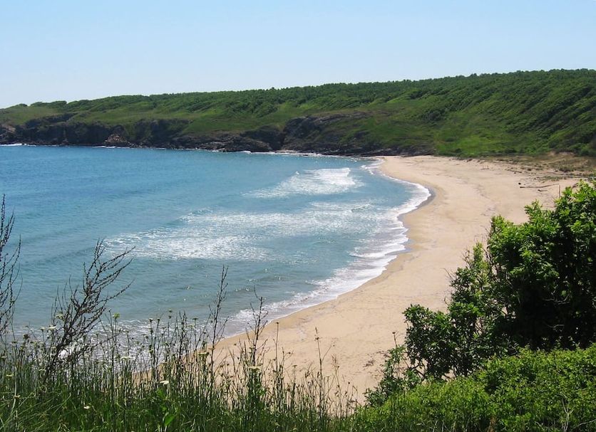 Beach Photo