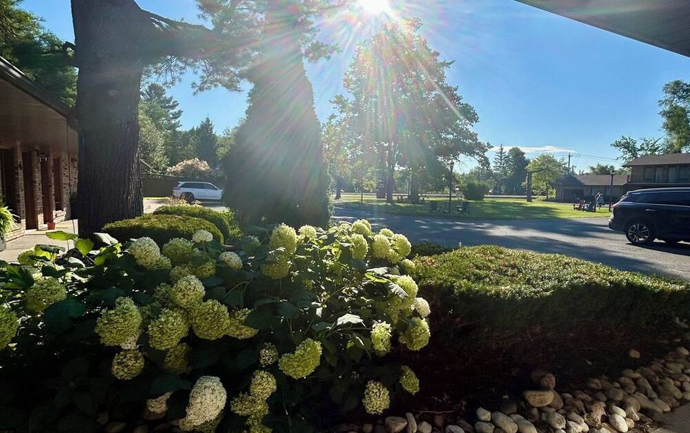 Outdoors view Photo