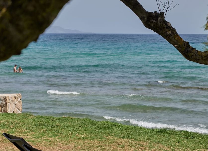 Beach Photo