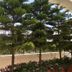 Outdoors view