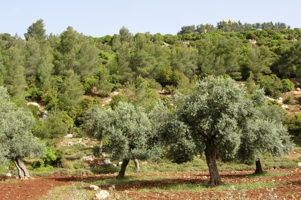 Outdoors view