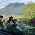 Outdoors view